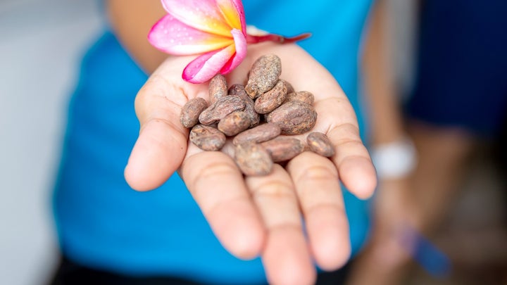 Indonesian farmer holding brown cocoa beans and a pink flower