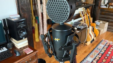 Neat King Bee II on a shockmount in a home studio