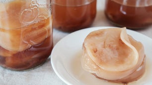 Brown kombucha SCOBYs sit on plate in front of jars full of fermented tea