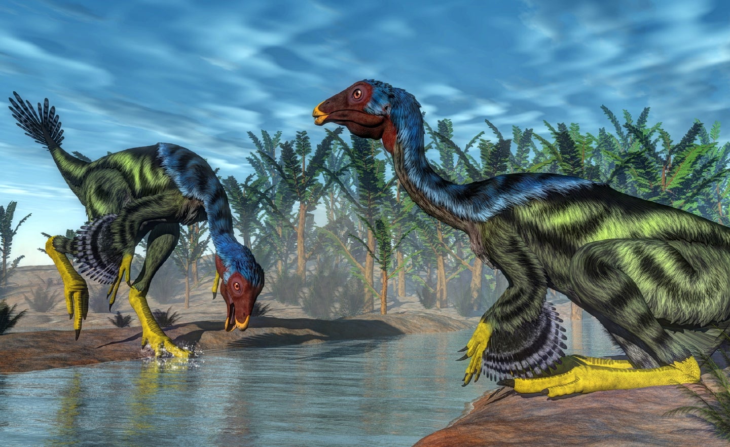 Feathered Caudipteryx dinosaurs drinking from a sandy river among palm trees before the asteroid hit