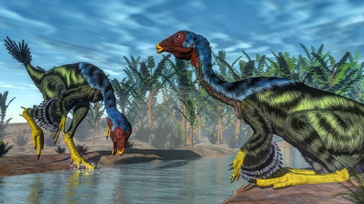 Feathered Caudipteryx dinosaurs drinking from a sandy river among palm trees before the asteroid hit