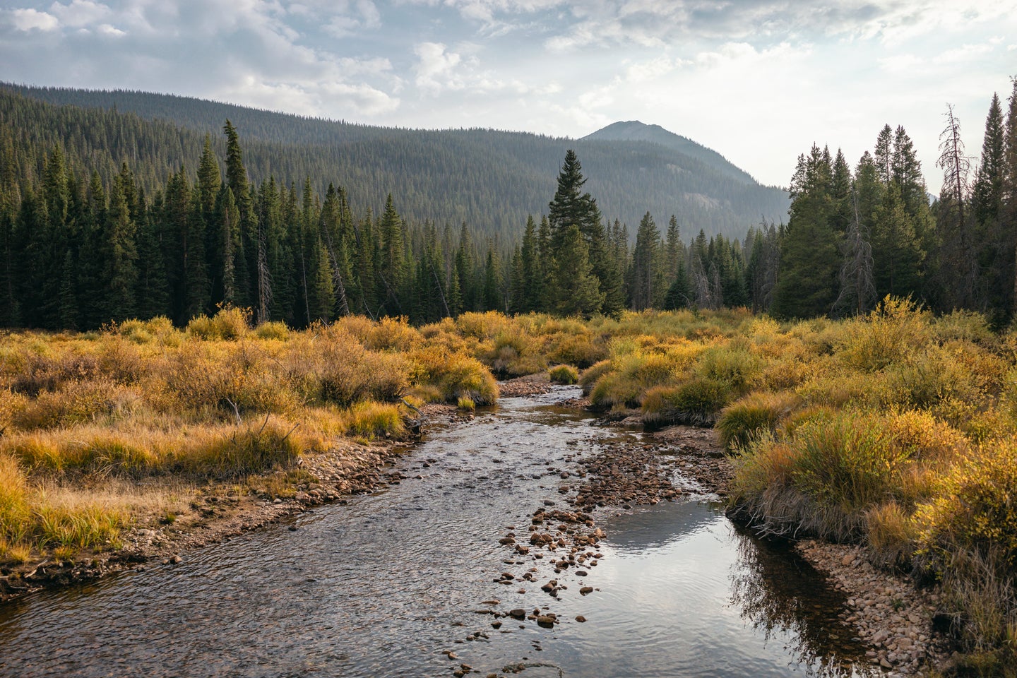 Creek running through yellow meadows and mountains in the Colorado basin