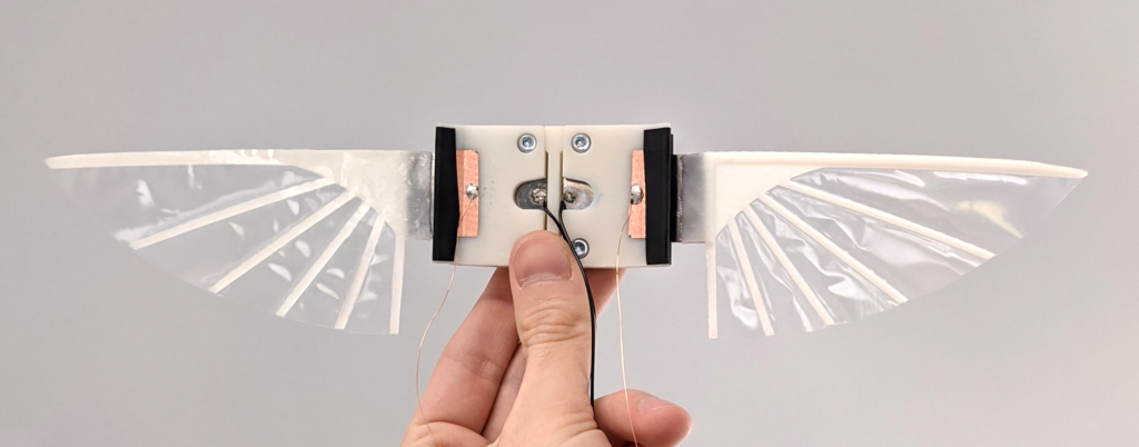 These robot wings use artificial muscle to flap like an insect thumbnail