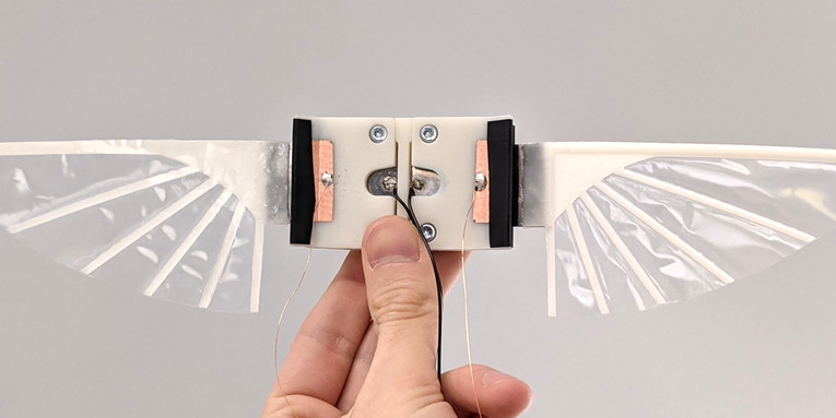 These robot wings use artificial muscle to flap like an insect
