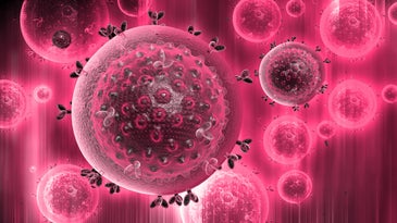 Hot pink, floating, circular HIV particles like those discovered in high virulent varient.