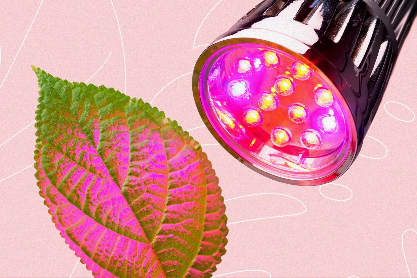 An LED grow light illuminating a plant's leaf and turning it a shade of purple.