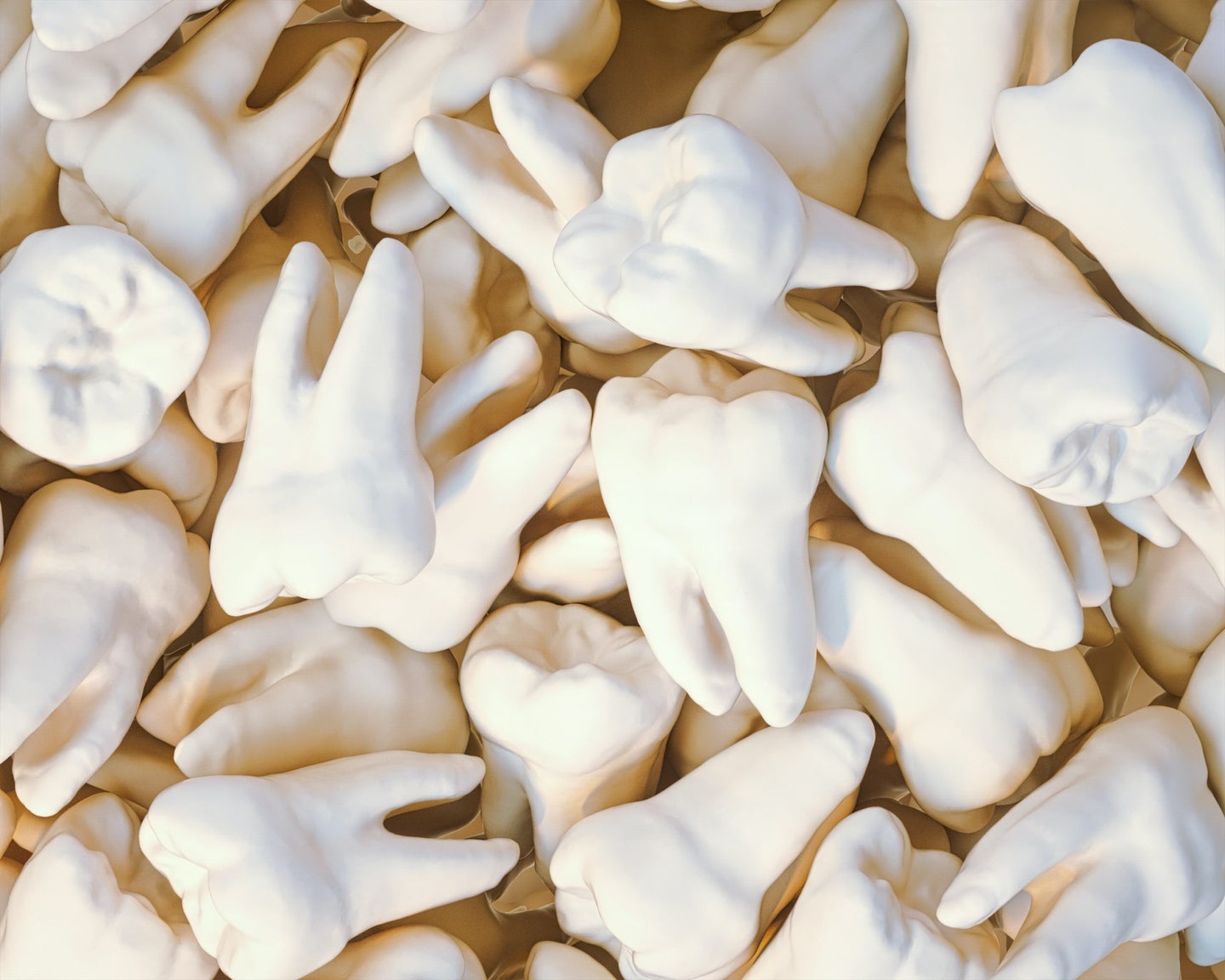 Pile of model white molar teeth