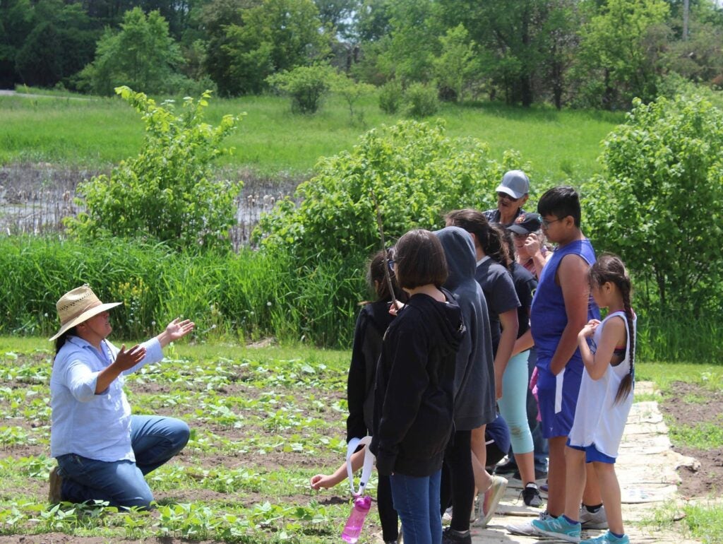 Indigenous farmer in a sun hat kneeling and speaking to a group of children in a green field in summer