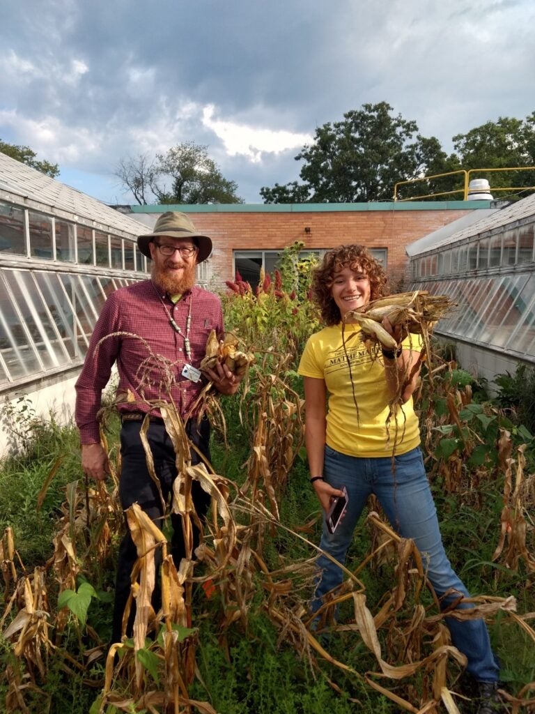 Two people in farming gear standing in the University of Michigan botanical collection holding red ears of corn