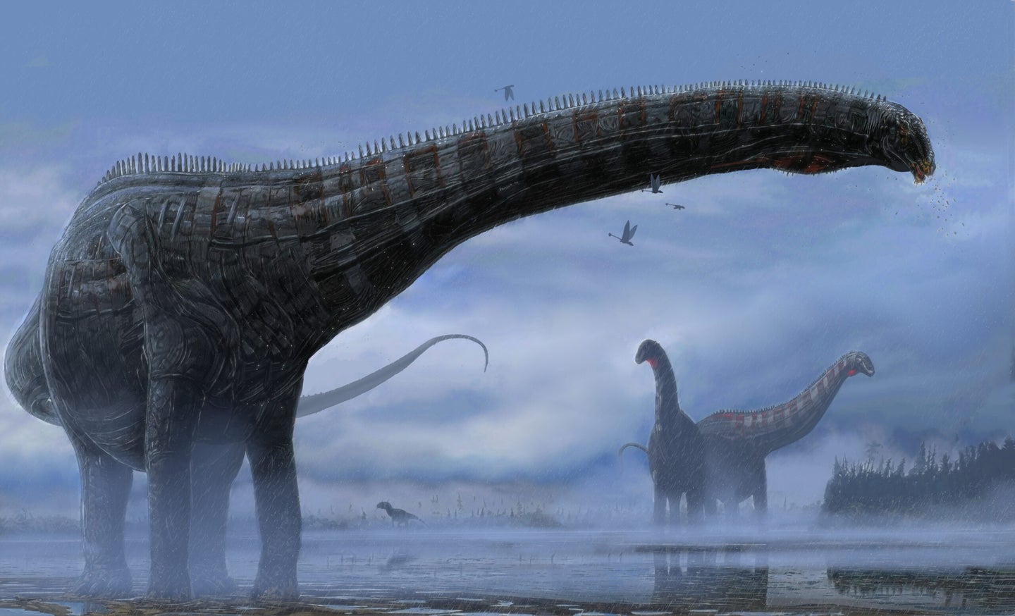 large sauropod dinosaurs illustrated in a swampy lake