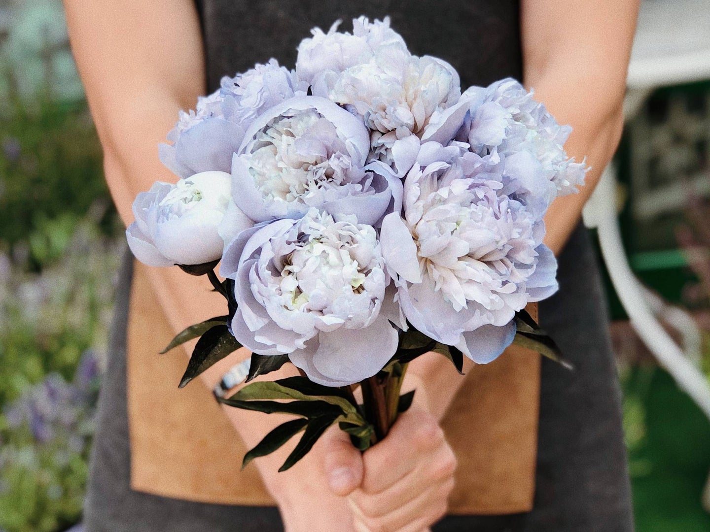 person holding bouquet of peonies