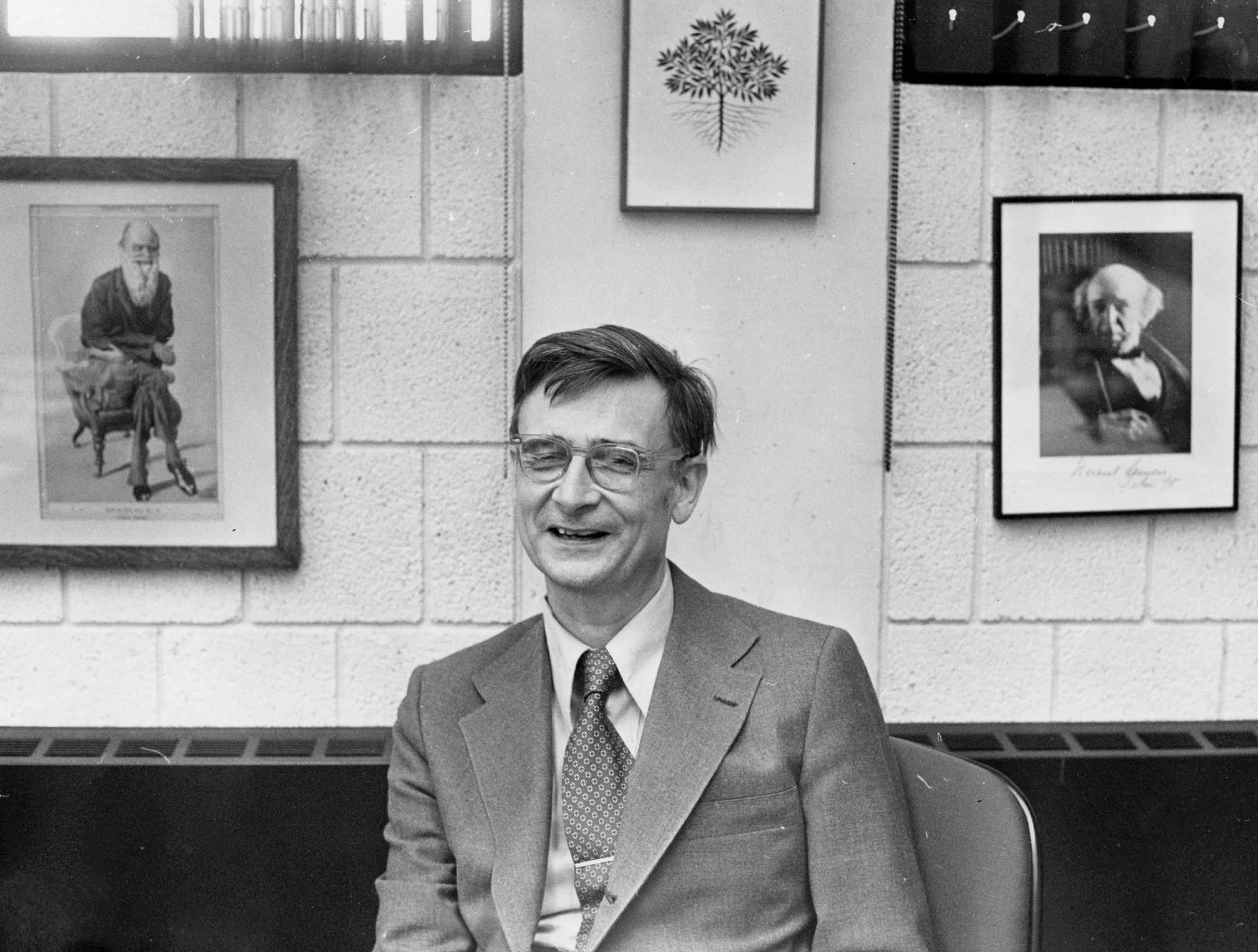 A closer look at E.O. Wilson’s archives reveals support for racist research