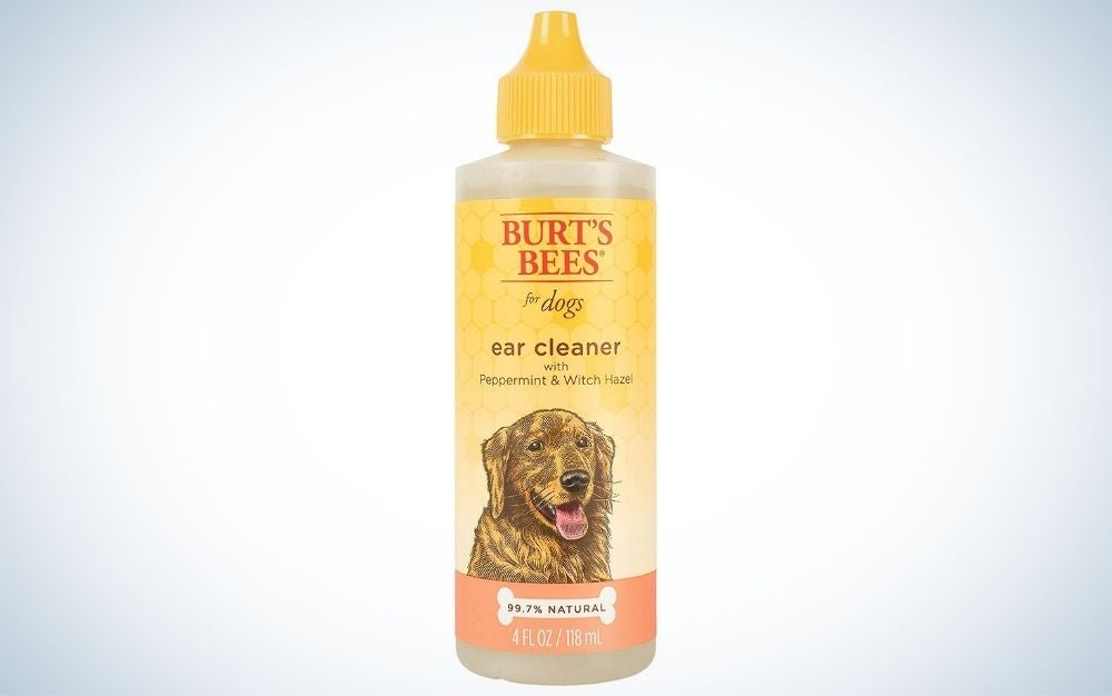 Burt’s Bees Peppermint is the best natural ear cleaner for dogs.