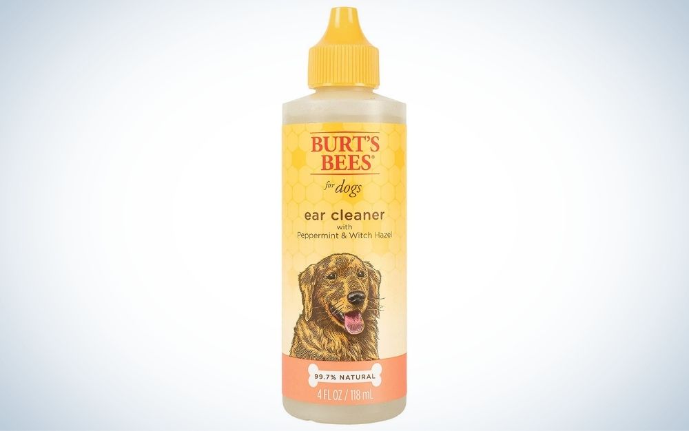 Burtâs Bees Peppermint is the best natural ear cleaner for dogs.
