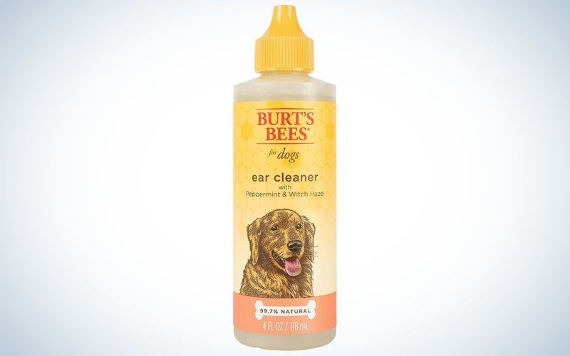 Burtâs Bees Peppermint is the best natural ear cleaner for dogs.