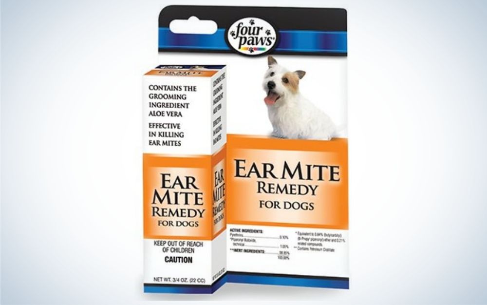 Best dog ear cleaners of 2023