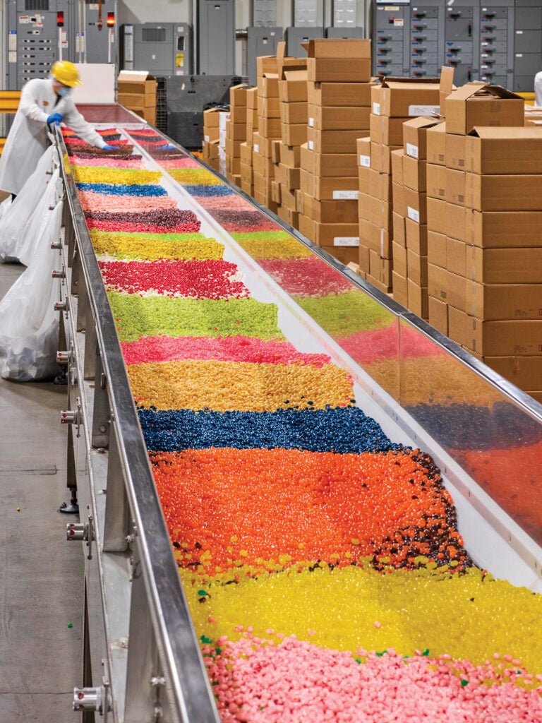Conveyor before quality control holding multicolored piles of beans