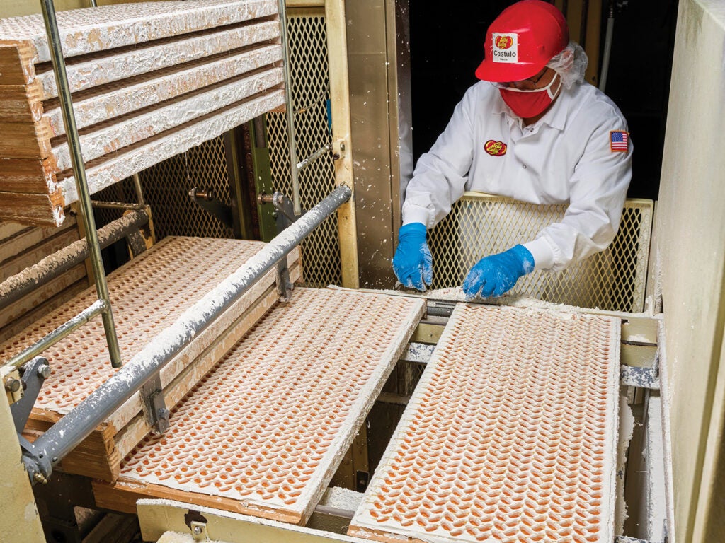 Worker in white suit and red hat and COVID face mask lifts jelly bean centers in trays of starch moulds