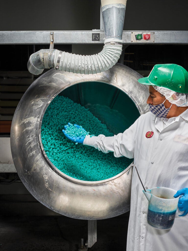 Worker in a white coat and green hat holding a bottle of blue-green syrup and handful of blue-green jelly beans