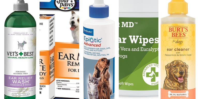 Best dog ear cleaners of 2023
