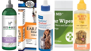 Best dog ear cleaners of 2022