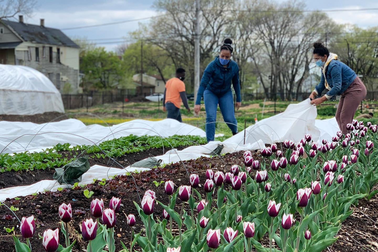 Urban farmers are revitalizing neighborhoods in Chicago, Philadelphia, and beyond
