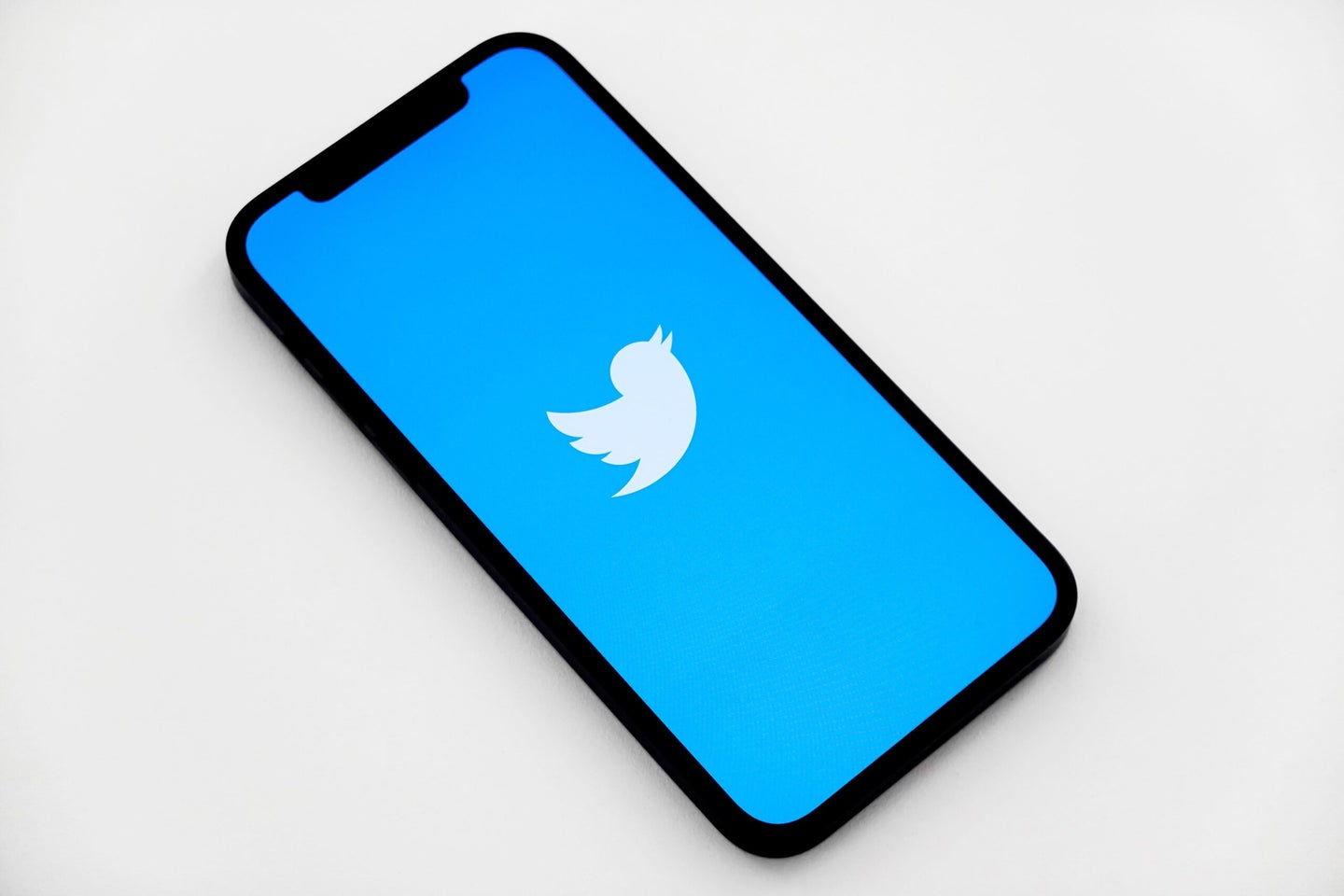 twitter logo on phone screen