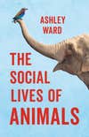 a sky blue book cover with an elephant with a crow on its trunk. the title reads "the social lives of animals" by ashley ward