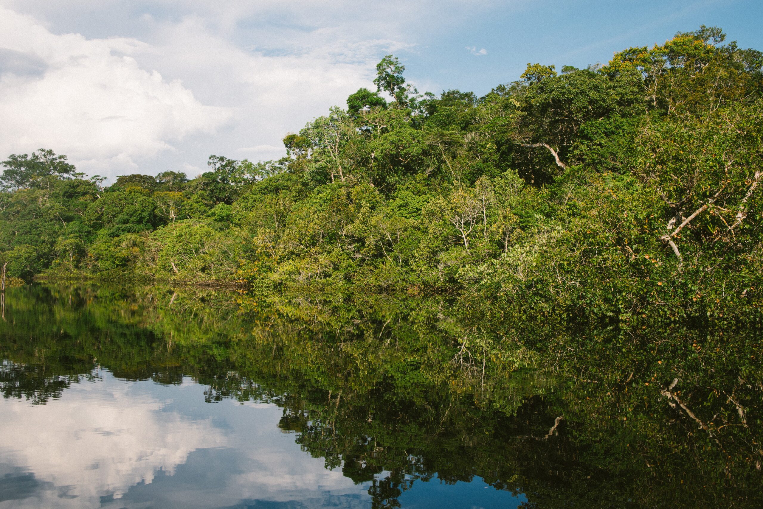 The Amazon is on the brink of a climate change tipping point