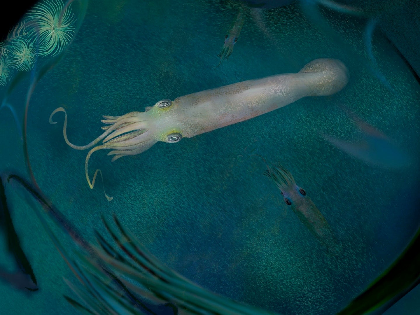 Prehistoric vampire squid swimming in the Paleozoic ocean in an illustration
