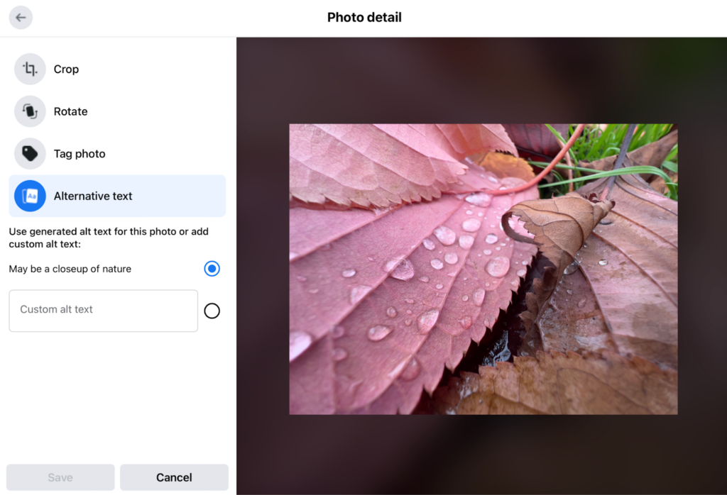 A screenshot of Facebook auto-generating alt text for a photo of a red leaf beaded with water.