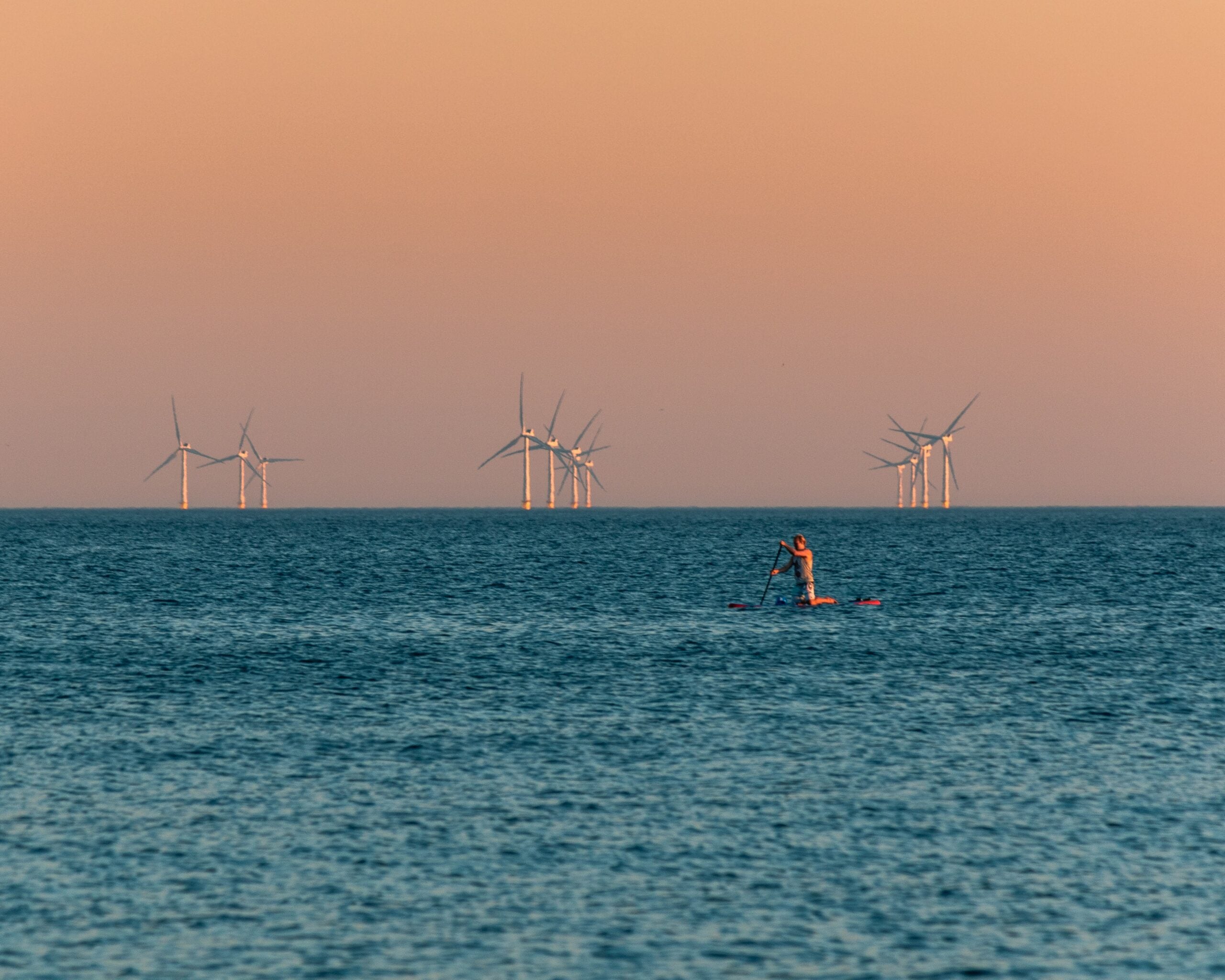 Minimizing offshore wind’s impact on nature is tricky, but not impossible thumbnail