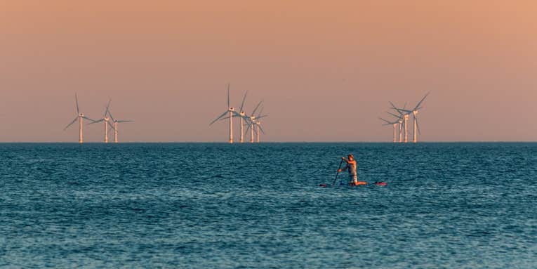 Minimizing offshore wind’s impact on nature is tricky, but not impossible