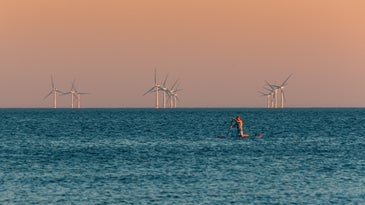 Minimizing offshore wind's impact on nature is tricky, but not impossible