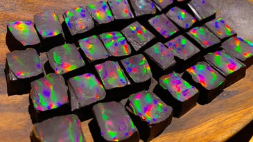 A couple dozen thumbnail-sized squares of chocolate, each with blotches and streaks of vivid rainbow colors.