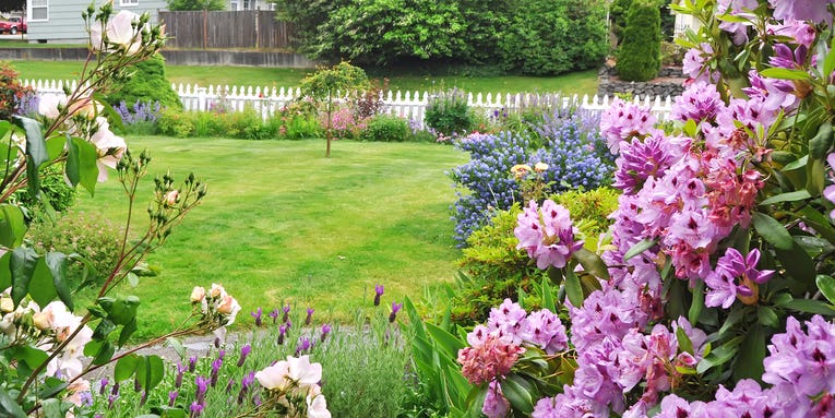 How to adapt your lawn and garden for longer growing seasons