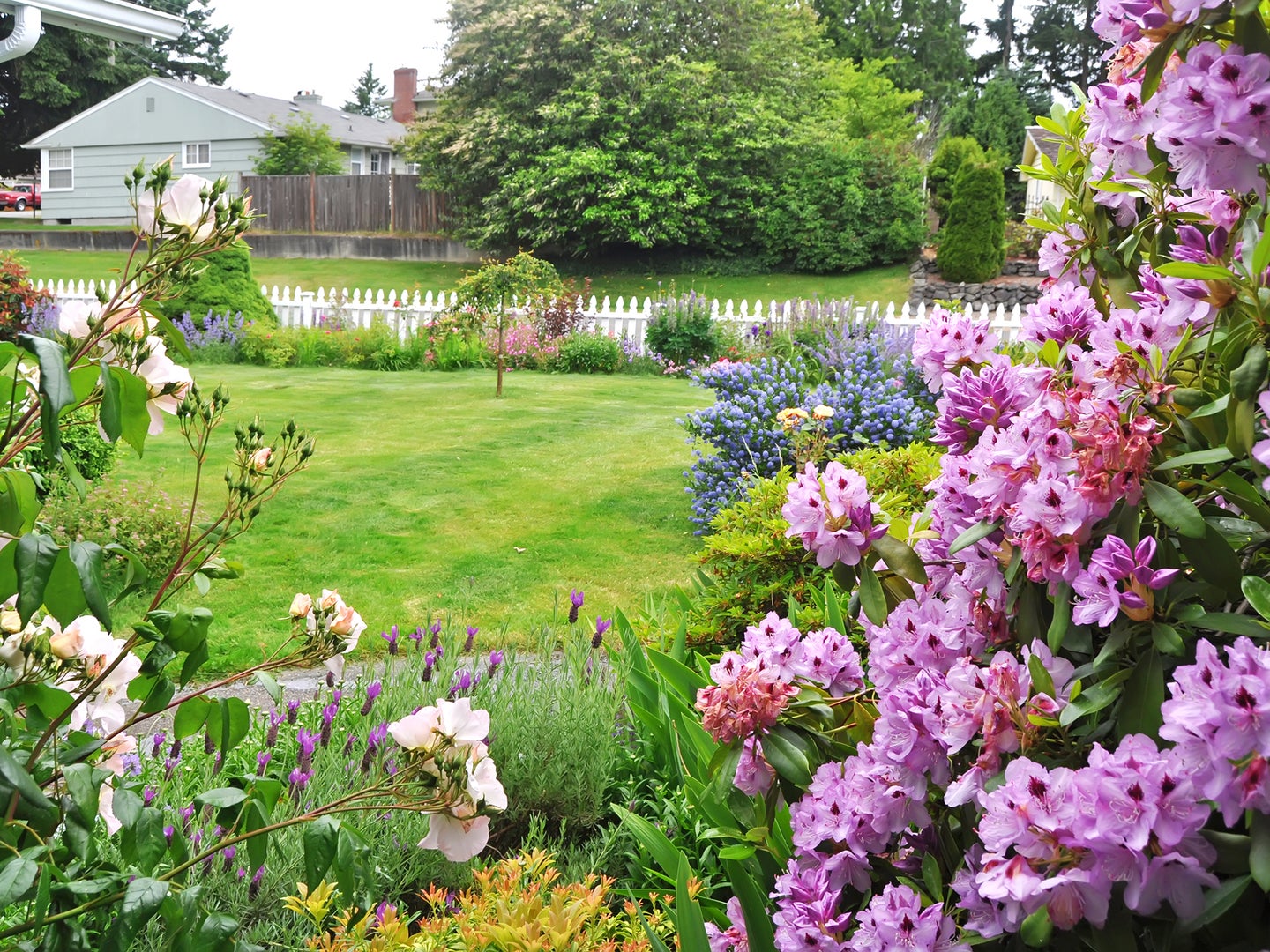 Photo of flowers and grass of a home landscape to illustrate a story about adapting to longer growing seasons.