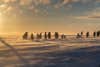 sunset casts an orange glow over a dreamy icescape in antarctica. emperor penguins stand together 