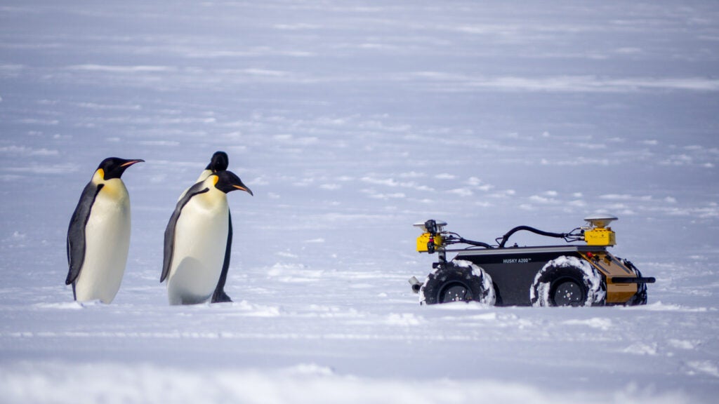 three emperor penguins next to a robot