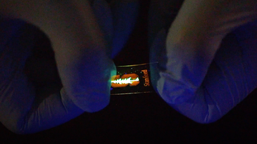 stretchy LED screen by stanford engineers