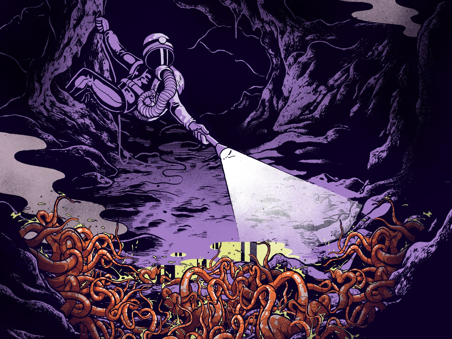An illustration of worms in caves in an article about their benefits to humanity.