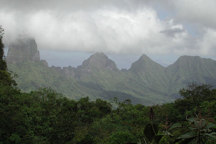 lush, tropical forests cover tall sharp peaks on an island