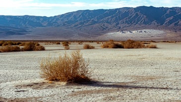 Death Valley desert, California, USA