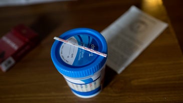 Fentanyl test trip over blue sample container to prevent overdoses in the opioid crisis