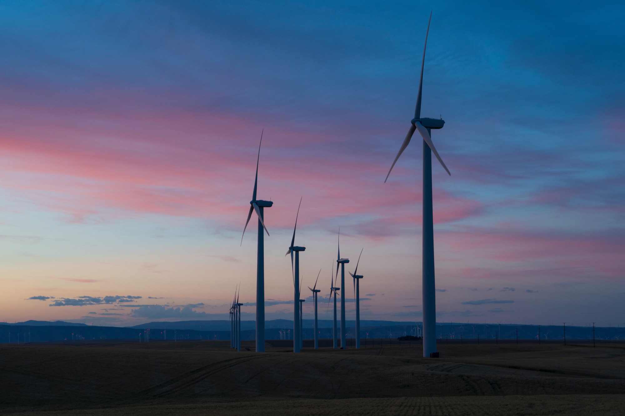 a wind farm at dusk