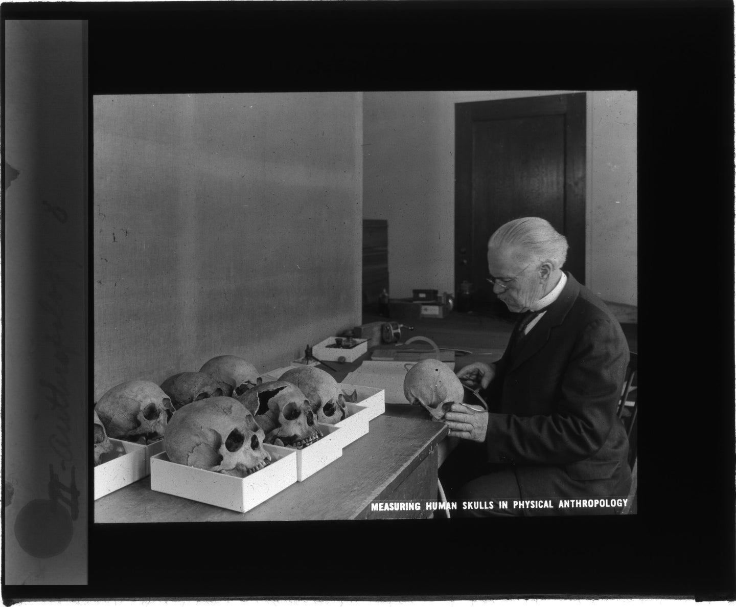 Aleš Hrdlička, a founding bioanthropologist, measuring skulls in what is now the National Museum of Natural History.