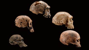 Shifting ancient climates shaped human evolution