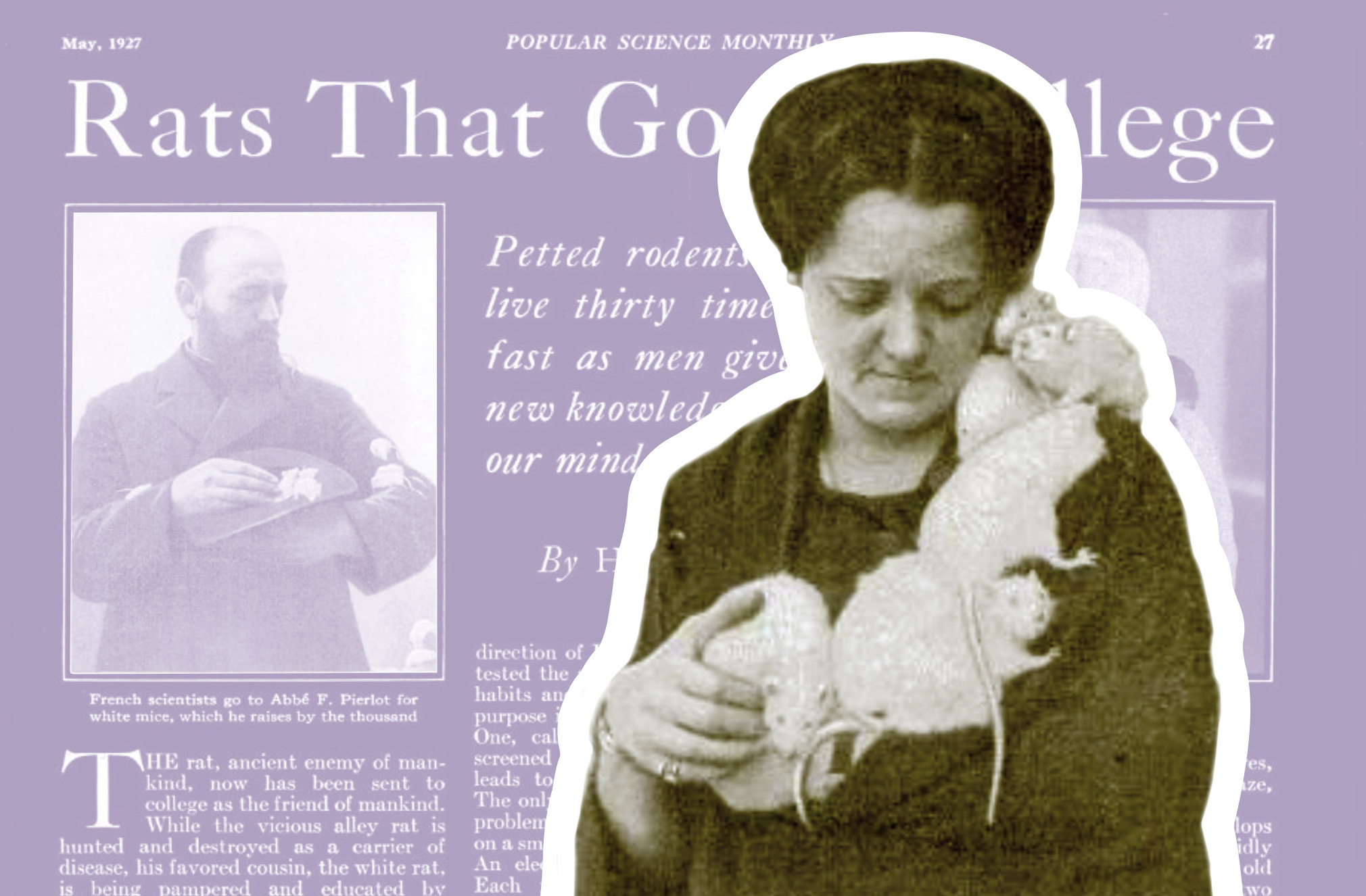 A collage of an article from Popular Science May 1927 issue about the origins of lab rats.