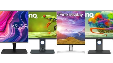 Best monitors for color grading in 2022