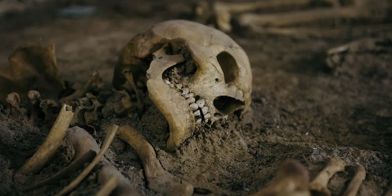 What ancient graves can teach us about the history of inequality